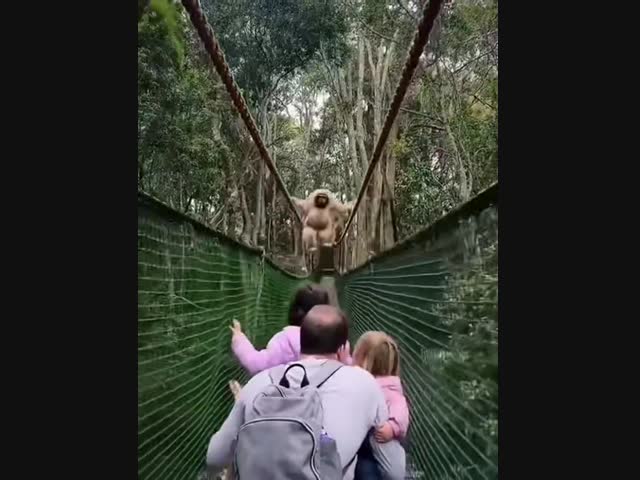 - Простите, можно пройти?