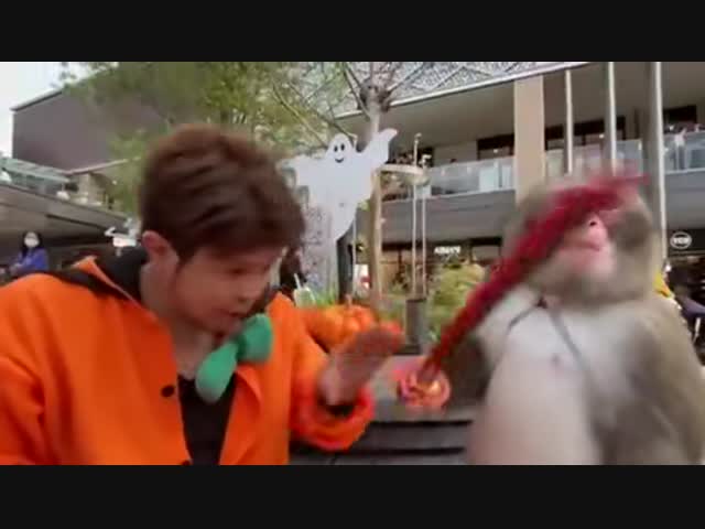 Хороший ученик