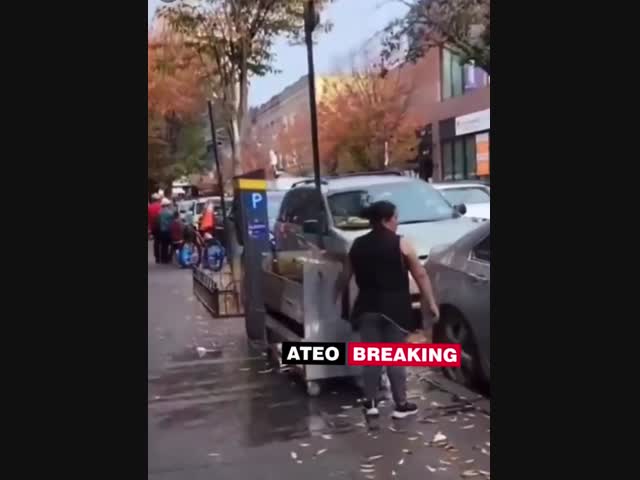 Нью-Йорк. Неужели он будет этот шашлык есть?