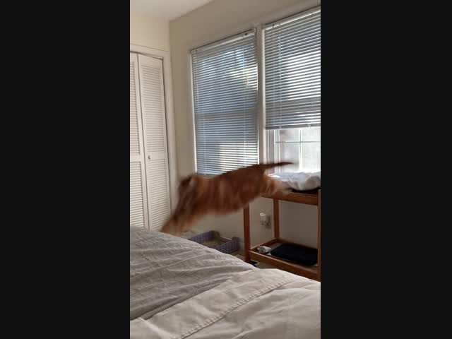 Не смогла…