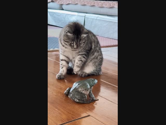 Да что ты такое?