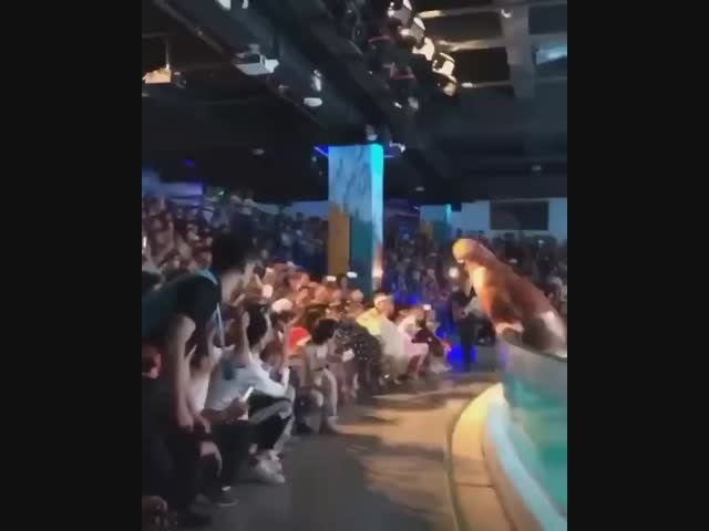 Тот самый момент, когда решил уволиться с нелюбимой работы