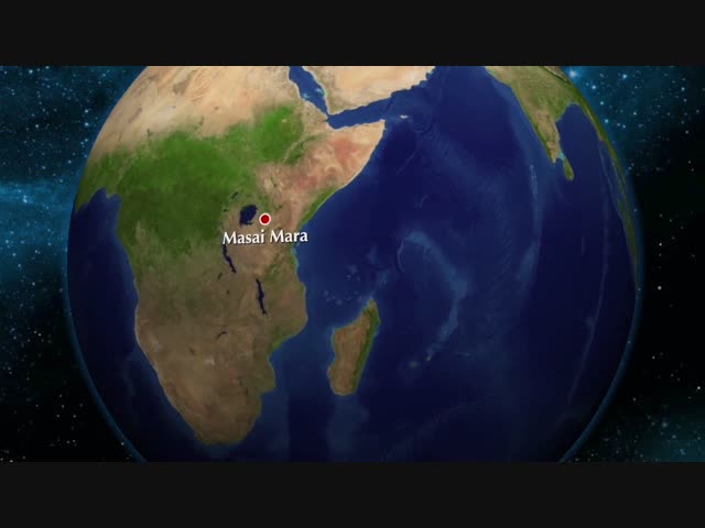 Кровавая охота