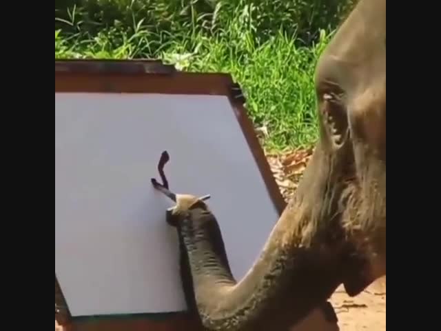 Невероятно! Слон рисует слона!