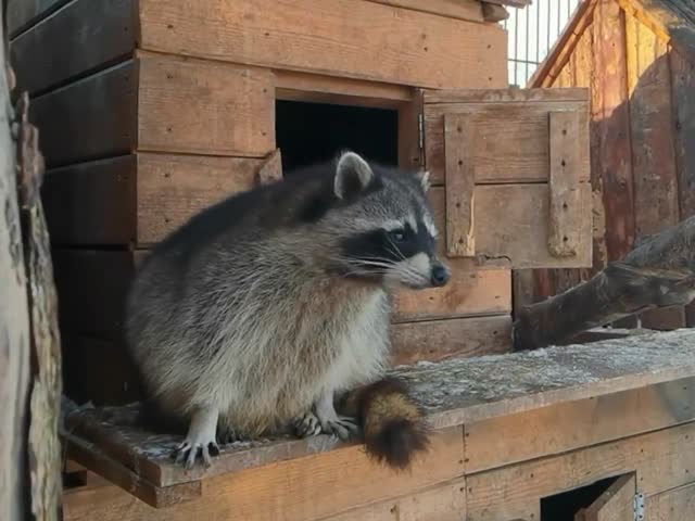 Все женщины одинаковые