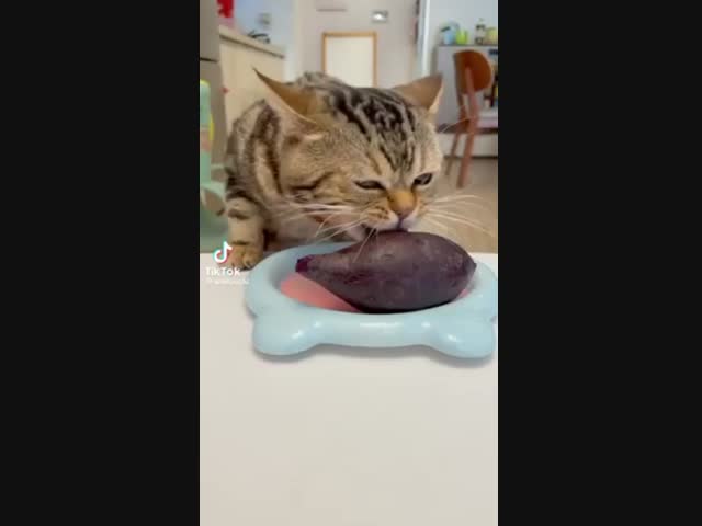 Истинный любитель свёклы