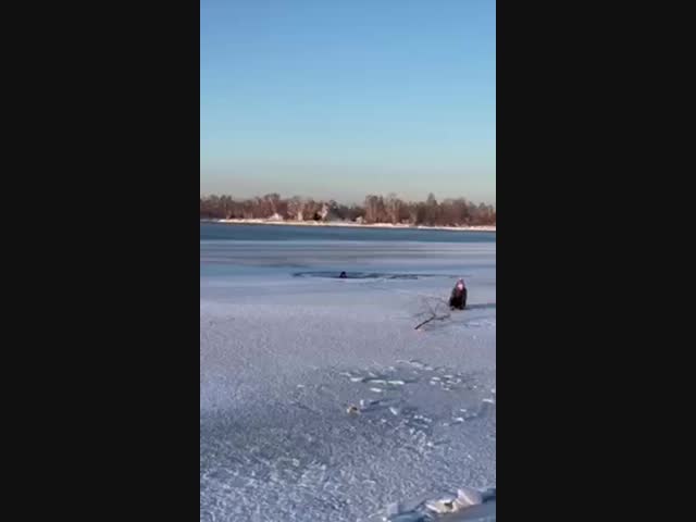 Моржи поневоле: двое детей провалились под лёд на Ангаре в Иркутске