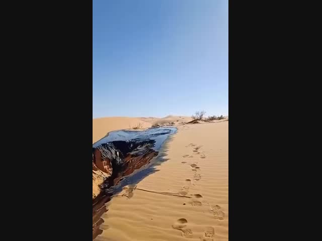 Нефть в пустыне⁠⁠
