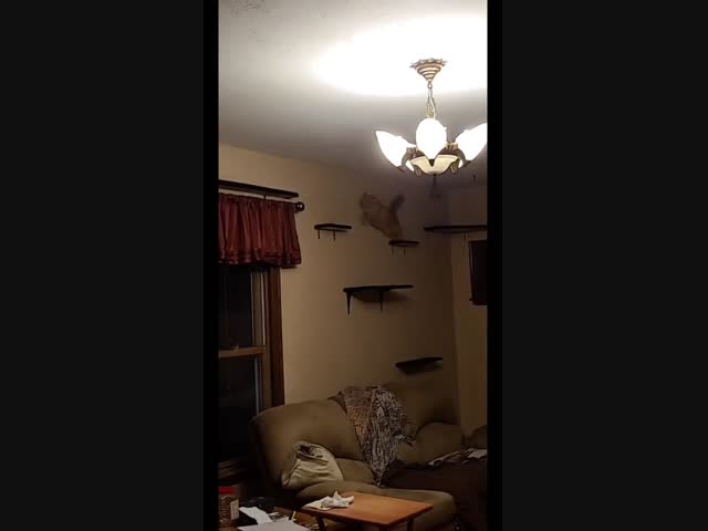 Настоящий рай