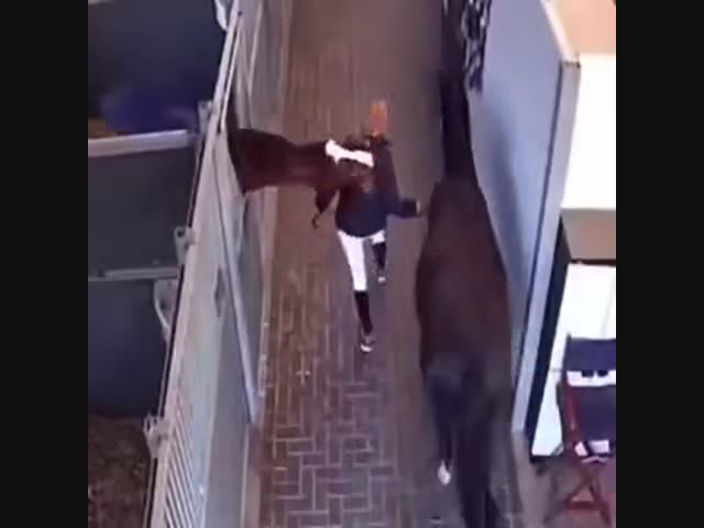 Злобная лошадка