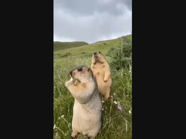 -Брат, делиться нужно!