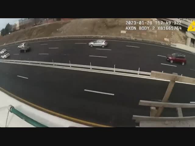 Самый везучий олень в мире