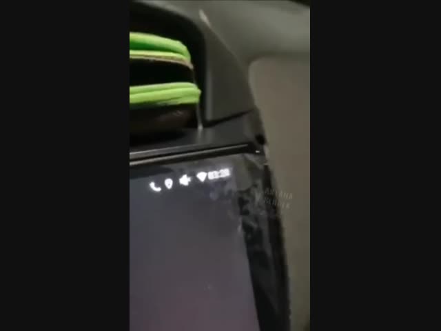 Примерная ученица