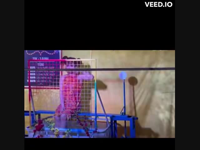 Аттракцион в Тайланде