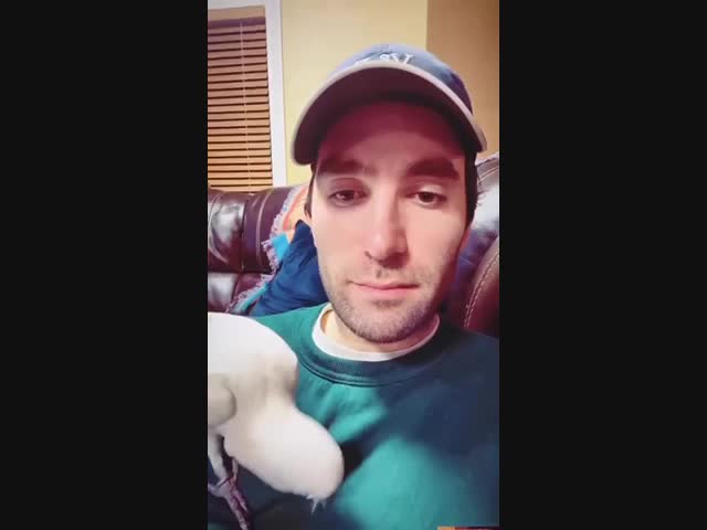 Заботливая птичка