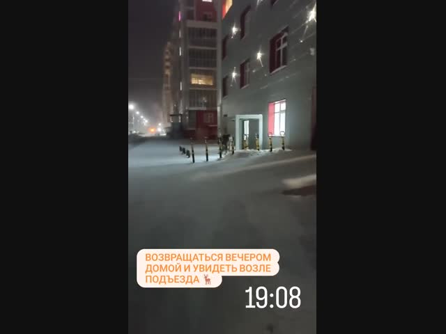 Парковка у своего подъезда в Якутске