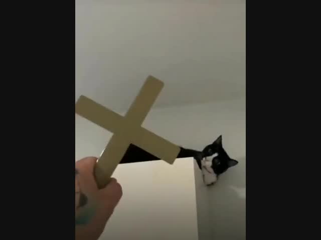 Происходит экзорцизм