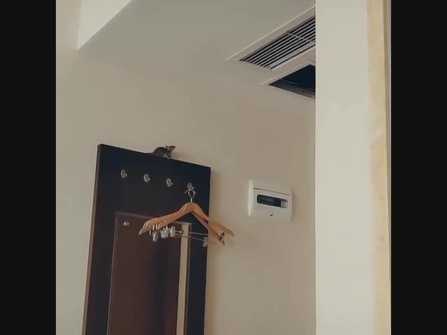 Миссия невыполнима 