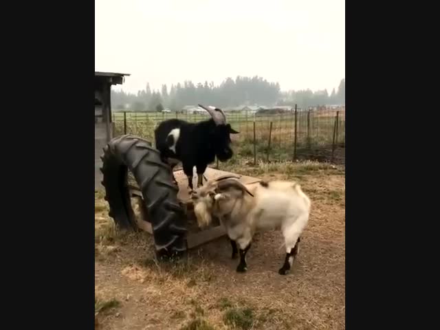 Серьёзный разговор