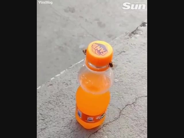 Командная работа