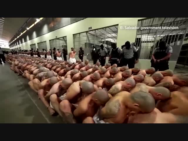 Бандидидо-гангстерито