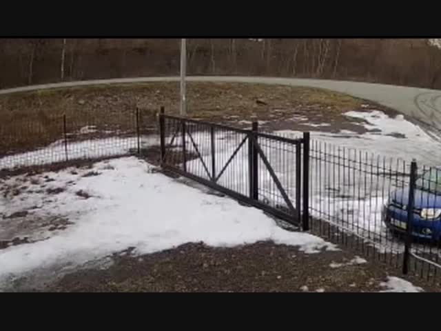 Мне кажется, что после такого удара из машины уже никто не выйдет