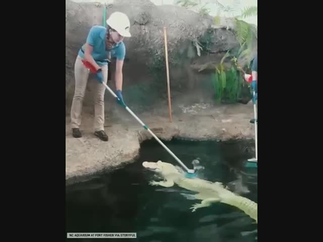 Сеанс массажа