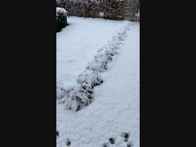 Сегодня в Брюсселе