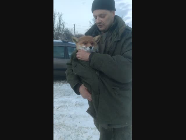 Тем временем в России...