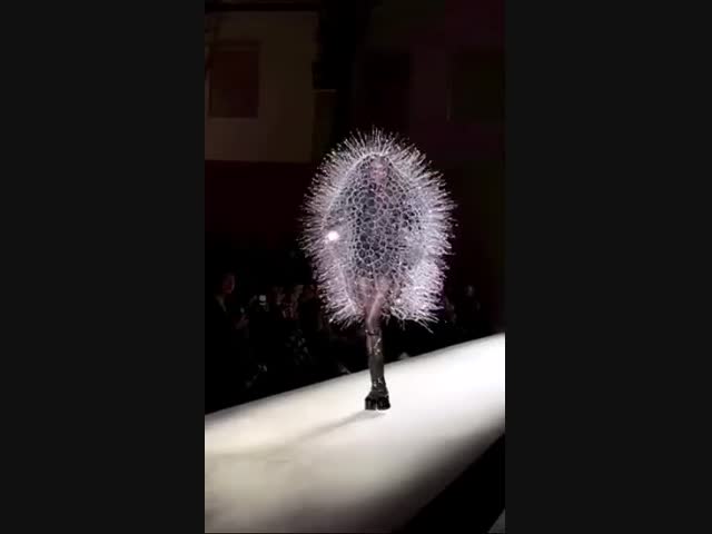 Одуванчик на ножках