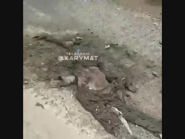 Как выглядит человеческое тело после наезда танка