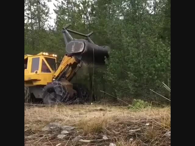 Уничтожитель деревьев