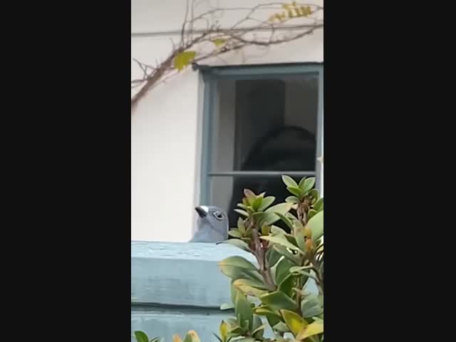 Хорошими делами прославиться нельзя