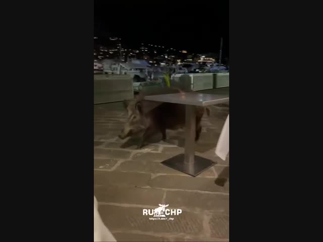 А что делать, есть то хочется!