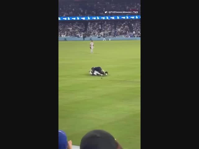 Сорванное признание в любви