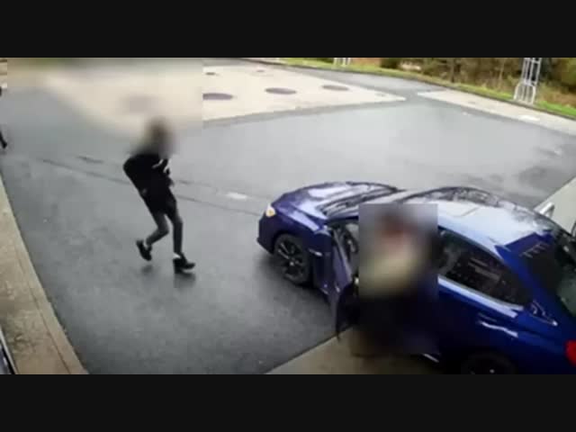 Наглые, но глупые