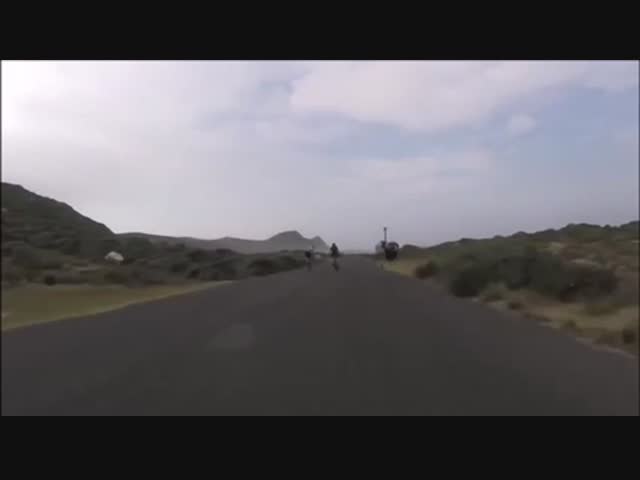 Веселые старты