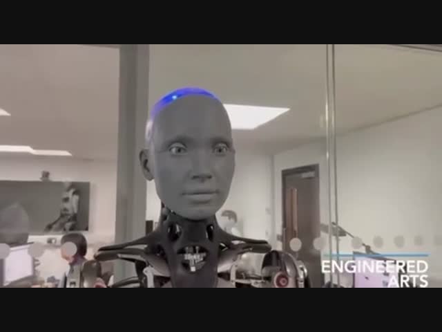 О чем сожалеют роботы 