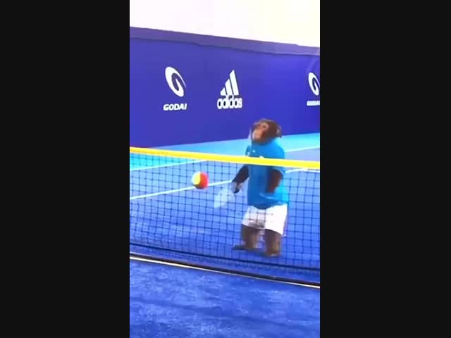 Будущий чемпион мира