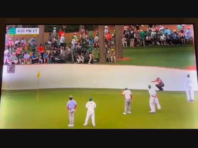 Теперь не удастся заблудиться в трех соснах