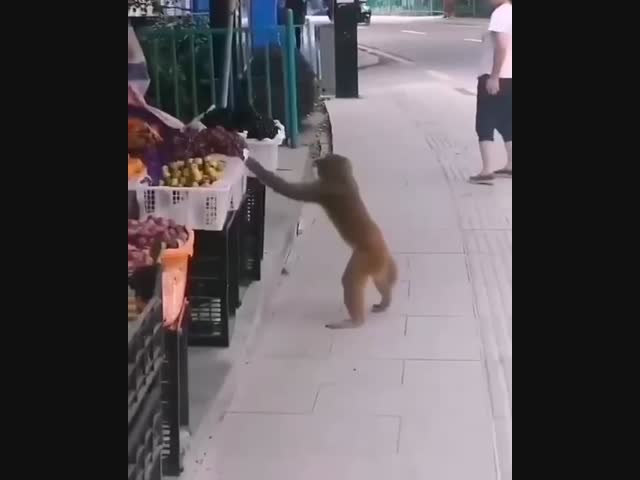 Я просто попробовать