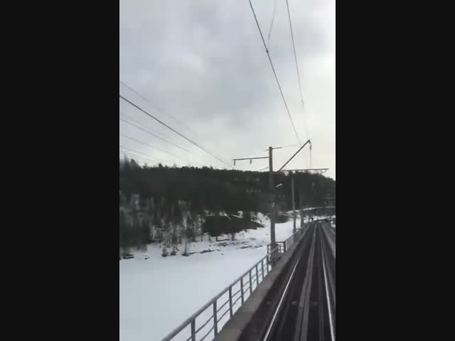 Глупый, как лось: лесной житель решил прогнать поезд