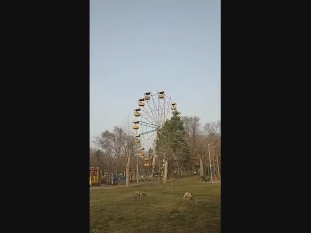 В приморском городе Арсеньеве повалили колесо обозрения