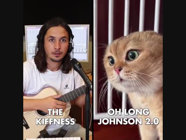 Кошачья, заводная.. в исполнении