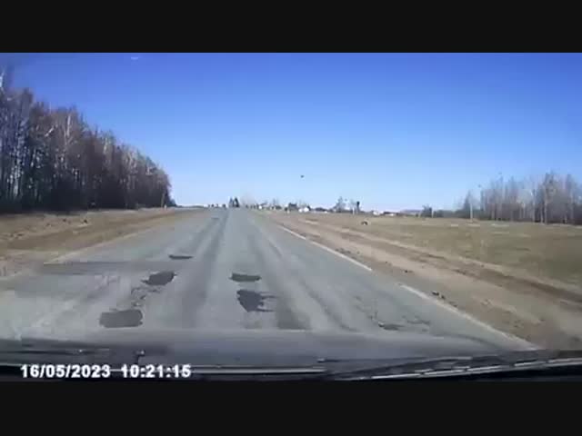 Чувашские номинанты на премию Дарвина