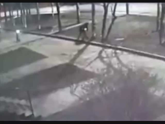 Последняя поездка