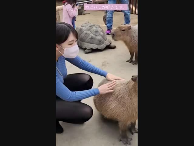 Глаза разбегаются