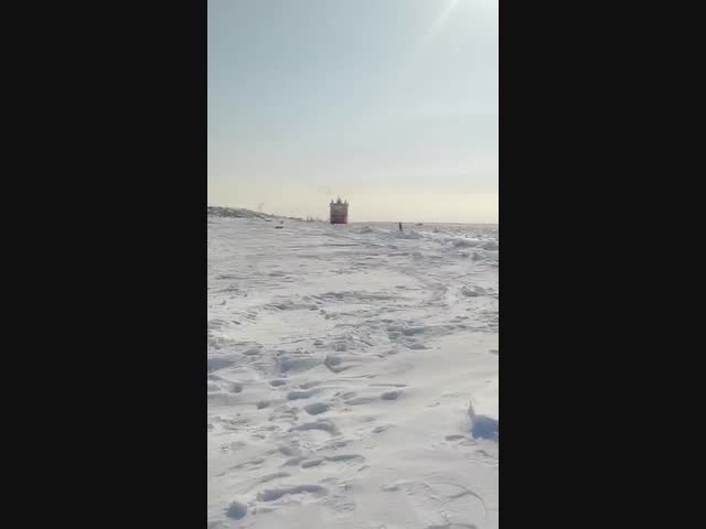 Чудак-человек