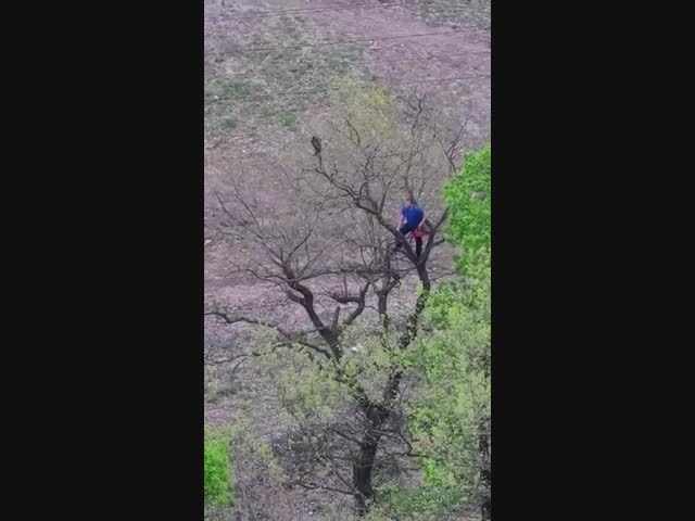 Как в Краснодаре спасли кота