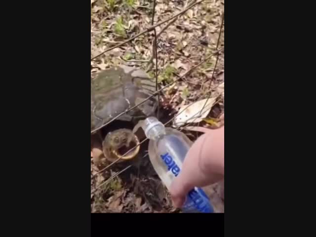 Какая неблагодарная!